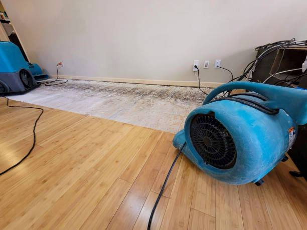 Professional Structural Drying technician working in Venetia, PA